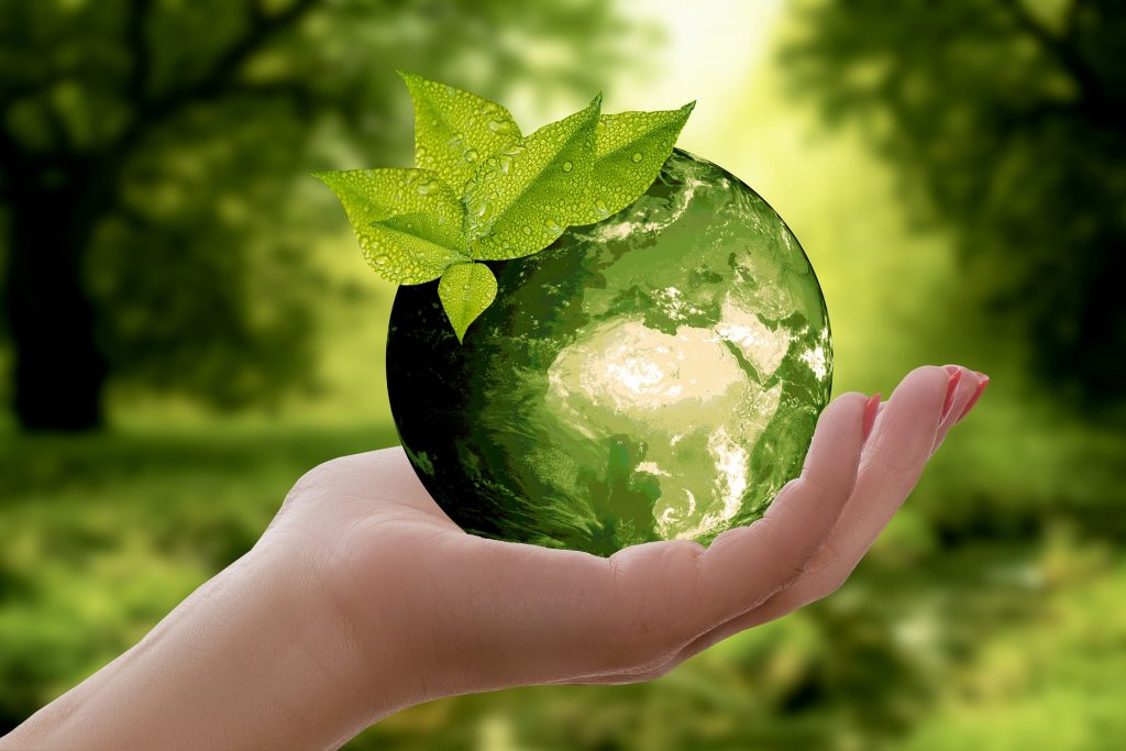 Hand holding green Earth with leaves, symbolizing sustainability