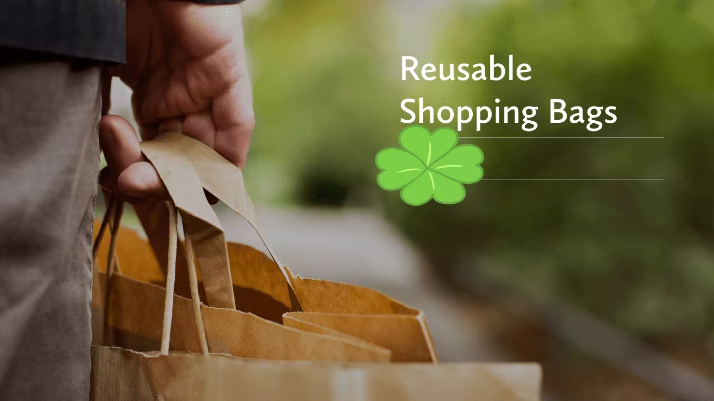 A hand holding eco-friendly paper shopping bags, with text 'Reusable Shopping Bags'