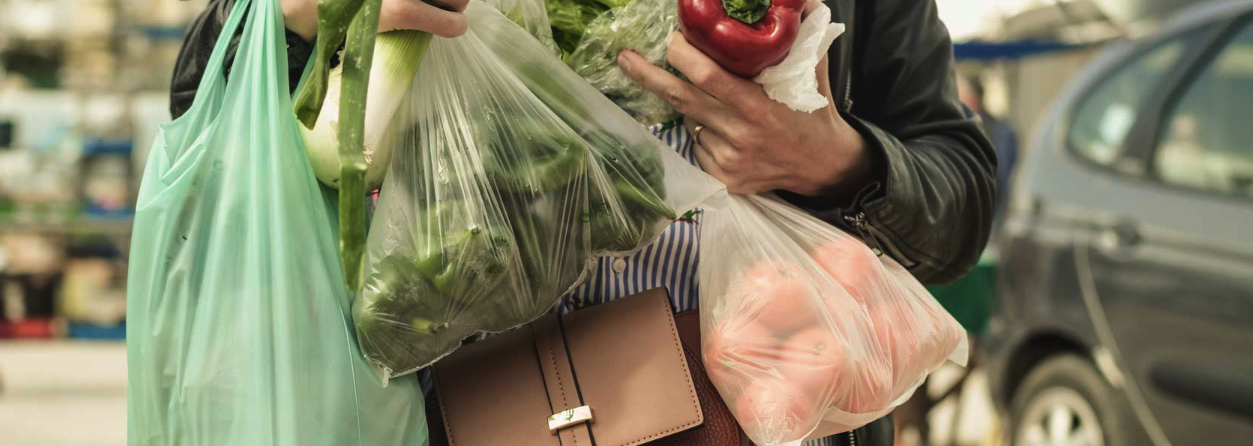 Person carrying plastic bags with vegetables and groceries