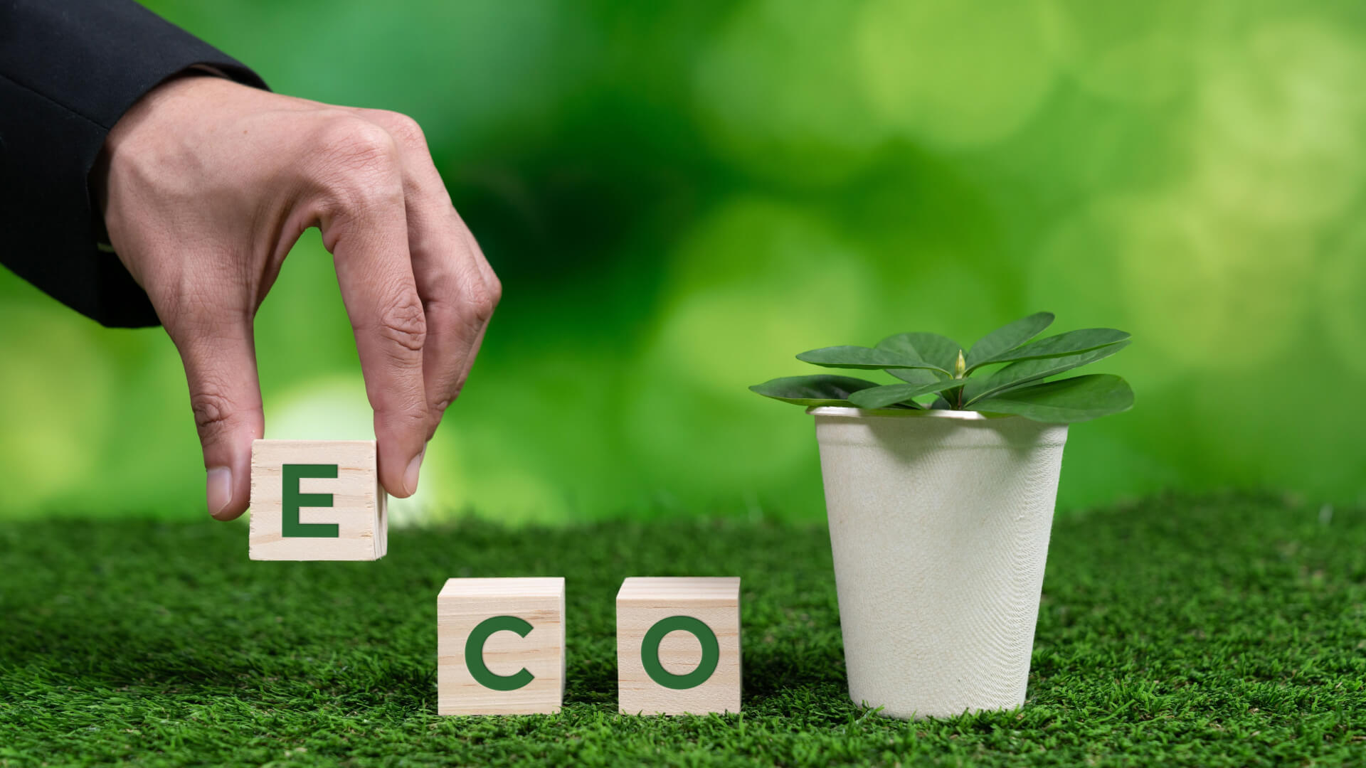 Hand arranging wooden blocks spelling ECO next to a plant in a biodegradable cup