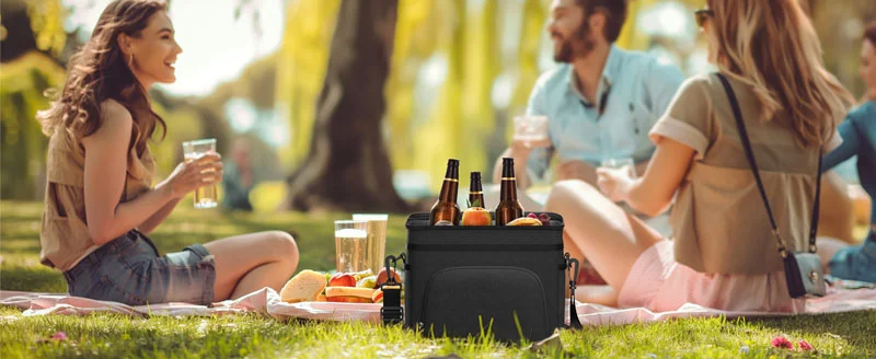 Group picnic with insulated cooler bag storing drinks and food
