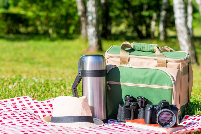 Picnic setup with insulated bag and accessories on checkered mat