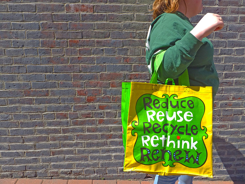 Reusable shopping bags with fruit prints and green handles