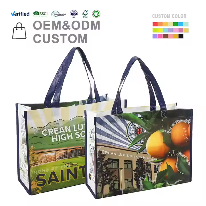 OEM custom laminated PP bags with school and fruit-themed graphics
