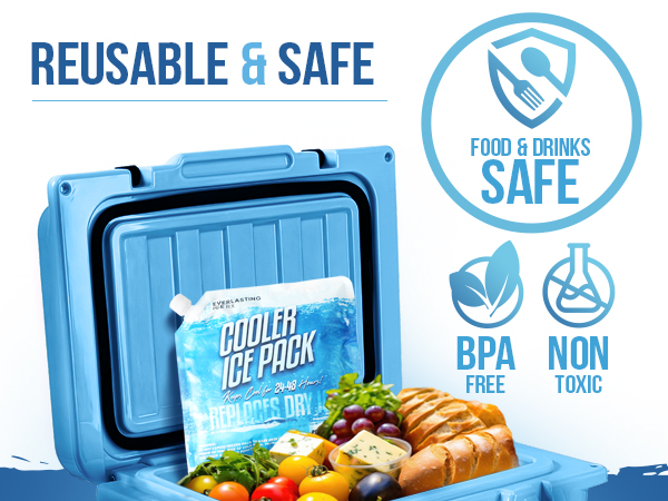 Blue insulated cooler box with ice pack, fruits, bread, BPA free and non-toxic