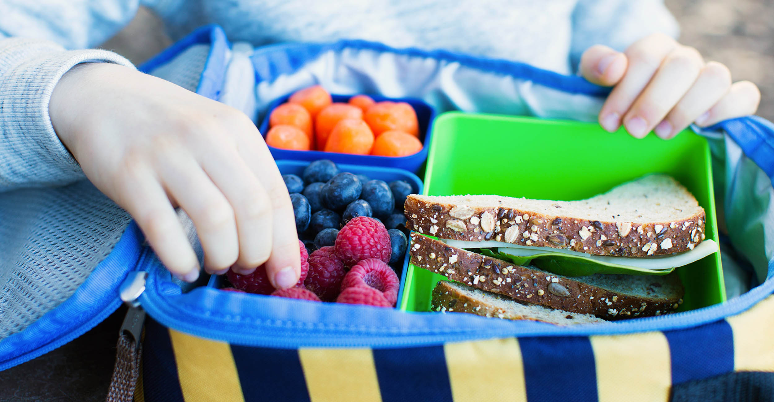 Insulated lunch bag with sandwiches, berries, carrots and blueberries