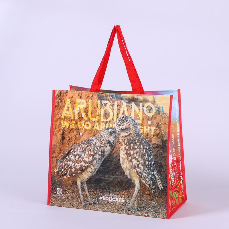 Reusable shopping bag with owl conservation design and red handles