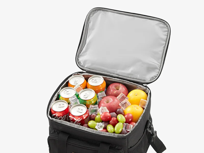 Open insulated cooler bag filled with fruits, soda cans, and ice cubes
