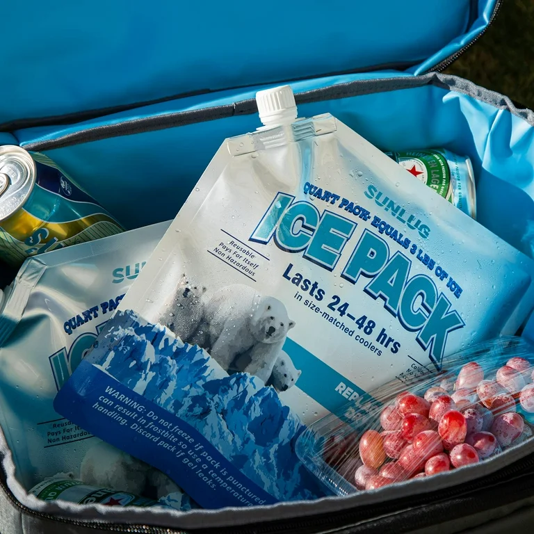 Cooler bag with ice packs, soda cans, and grapes